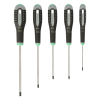 Atsuktuvų rinkinys TORX 5vnt Bahco Ergo
